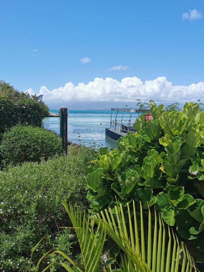 La Creole T3 Lumineux A 1Mn De La Plage Le Gosier  Zewnętrze zdjęcie