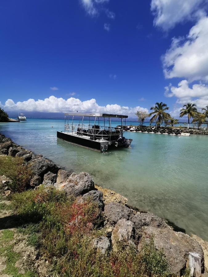 La Creole T3 Lumineux A 1Mn De La Plage Le Gosier  Zewnętrze zdjęcie